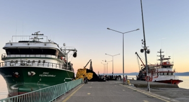 Karadeniz'de avlanan balıkçıların mola alanı Sinop Limanı (Foto Galeri) 