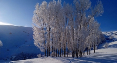 Sis ve kırağı kartpostallık görüntüler oluşturdu (Foto Galeri)