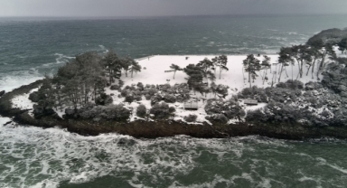 Denizle ormanın birleştiği Hamsilos Tabiat Parkı kar manzarasıyla doğaseverleri ağırladı (Foto Galeri)