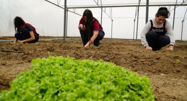 Öğrenciler, lise bahçesinde kurulan serada uygulamalı tarım eğitimi görüyor (Foto Galeri) 