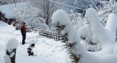 Ordu'da kar manzaraları kartpostallık görüntüler oluşturdu (Foto Galeri)