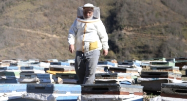 Ordulu arıcı, yarım asırdır kaliteli bal mesaisinde (Foto Galeri)
