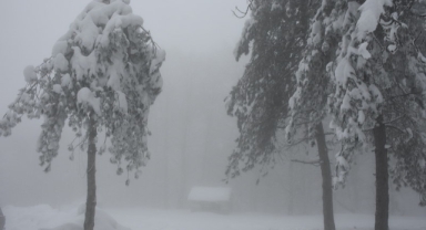 Samsun'da 1224 rakımlı Nebiyan Dağı karla kaplandı (Foto Galeri)