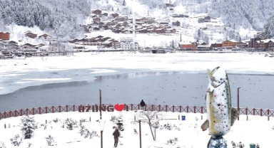 Uzungöl'ün yüzeyi buz tuttu (Foto Galeri) 
