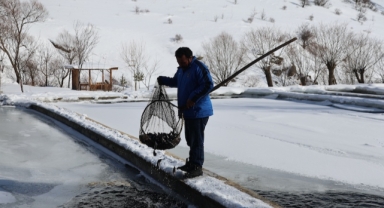 En lezzetli alabalık için dondurucu soğukta mesai (Foto Galeri)