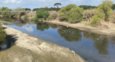 Geçmiş yıllarda dolup taşıyordu, şimdi kuraklık tehlikesi ile karşı karşıya (Foto Galeri) 