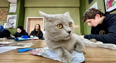 Okulun yakınında bulunan ‘Picasso’, resim atölyesindeki derslere renk katıyor (Foto Galeri)