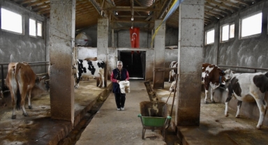 Ordulu kadına çiftçilik ve hayvancılık kanserle mücadelesinde moral oldu (Foto Galeri)