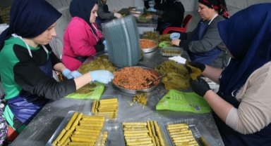 Tokat'ın coğrafi işaretli yaprağından yapılan sarmalar Avrupa'ya ihraç ediliyor (Foto Galeri)