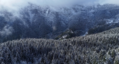 Artvin'in yüksek kesimleri beyaza büründü (Foto Galeri)