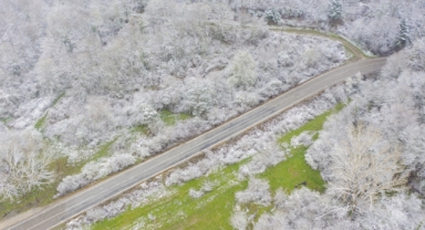 Bolu'nun yüksek kesimlerinde kar etkili oluyor (Foto Galeri) 