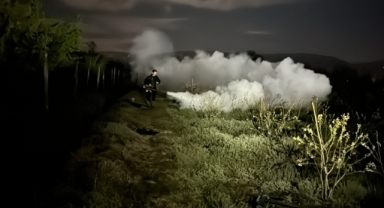 Düzce'de fındık ve tropikal meyve yetiştiricileri, zirai dona karşı sisleme yöntemini kullanıyor (Foto Galeri) 