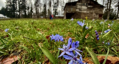 Düzce'deki yaylalar, kışın ve ilkbaharın izlerini taşıyor (Foto Galeri)