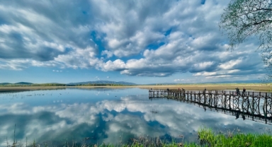 Efteni Gölü Kuş Cenneti (Foto Galeri)