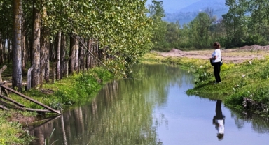 Efteni Gölü Kuş Cenneti yürüyüş rotası çalışmaları (Foto Galeri) 