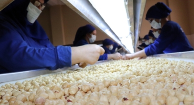 Fındık İhracatında 2024-2025 Sezonu Hedefi Belli Oldu (Foto Galeri)