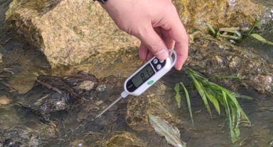 İnci kefali balığının avlanma yasağında sona gelindi (Foto Galeri) 