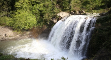 Ordu'da yeşilin tonları arasındaki o şelale ilgi görüyor (Foto Galeri) 
