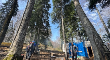 Orman işçileri dağ tepe demeden görev başında (Foto Galeri)