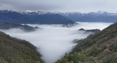 Rize'nin yüksek kesimlerinde 'bulut denizi' (Foto Galeri) 