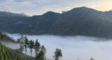 Rize'nin yüksek kesimlerinde sis