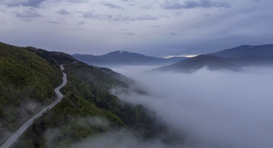 Sis bulutuyla bütünleşen ormanlar havadan görüntülendi (Foto Galeri) 