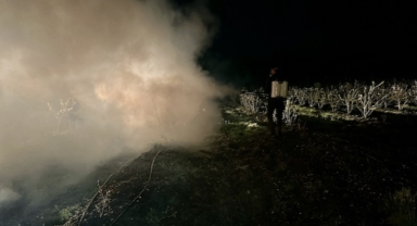 Tropikal meyve üreticisi zirai don riskine karşı nöbette (Foto Galeri)
