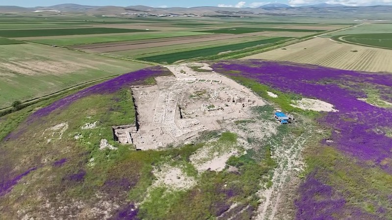 Tarihi Tapınakların Arasında Mor Mucize (Foto Galeri)