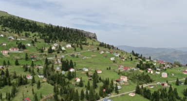 Akarsuları canlanan Sis Dağı Yaylası çiçeklerle renklendi (Foto Galeri)