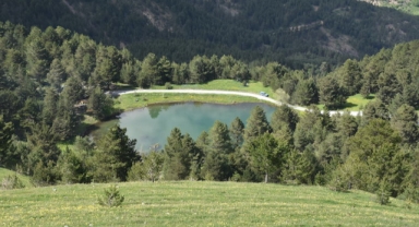 Altınpınar Limni Gölü turizm sezonunun ilk misafirlerini ağırlıyor (Foto Galeri)