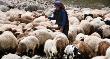 Bir çocuğun sessiz çığlığı: 'Hiç oyuncağım olmadı' (Foto Galeri) 
