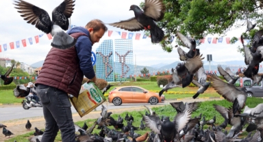Dedelerinden miras ‘güvercin besleme’ geleneği yarım asırdır sürüyor (Foto Galeri)