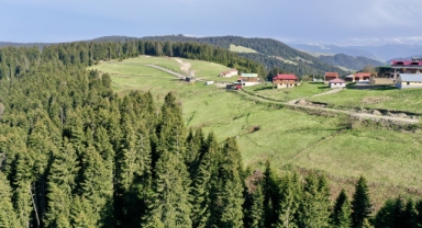 Giresun'un  O Yaylası Turizmde İvme Kazandı (Foto Galeri) 