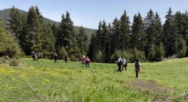 Gümüşhane'de doğaseverler yaylalara ilgi gösterdi (Foto Galeri)
