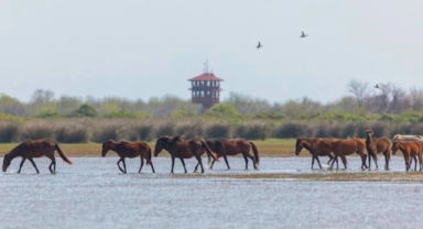 Karadeniz'in sessiz cenneti (Foto Galeri) 