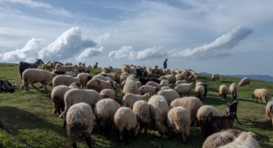 Karadenizli göçerlerin yaylaya uzanan göç yolculuğu (Foto Galeri) 