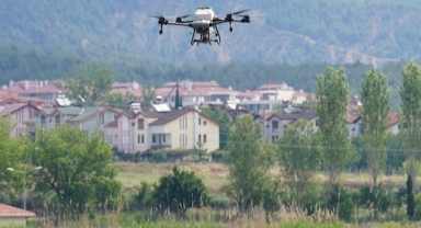 Pirinç üretimiyle öne çıkan Osmancık'ta dronla çeltik ekimi yapılıyor (Foto Galeri)