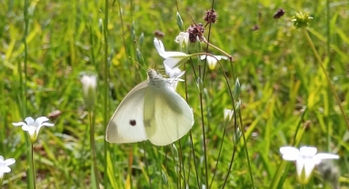 Yağışlı Kışın Ardından Görsel Şölen (Foto Galeri) 