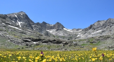 Artabel Gölleri Tabiat Parkı, kıştan kalan kar tabakalarıyla ziyaretçilerini ağırlıyor (Foto Galeri)