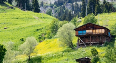 Artvin’in yaylaları yeşilin farklı tonlarıyla doğaseverleri ağırlıyor (Foto Galeri) 