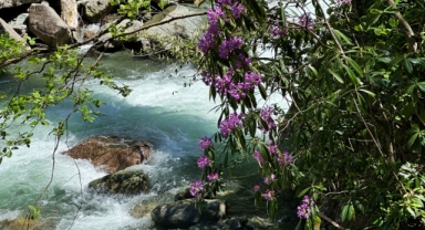 Doğaseverlerin uğrak noktası: Mençuna Şelalesi (Foto Galeri) 
