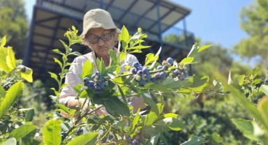 Emekli doktor, ikramiyesiyle kurduğu çiftlikte 14 yıldır organik üretim yapıyor (Foto Galeri)