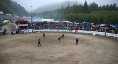 Rize'de ’29. Çamlıhemşin Ayder Kültür, Sanat ve Doğa Festivali’ sona erdi (Foto Galeri)