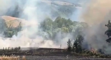1 yıllık emek kül oldu, orman son anda kurtarıldı (Foto Galeri) 