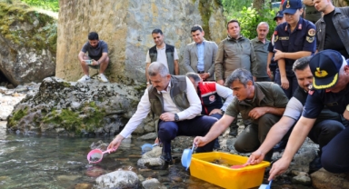 Artvin'de dereye 5 bin kırmızı benekli alabalık yavrusu bırakıldı (Foto Galeri) 