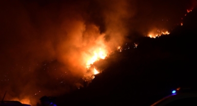 Bursa’da orman yangını (Foto Galeri)