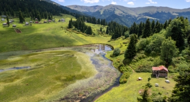 Giresun'un O Yaylası, Doğasıyla Ziyaretçilerini Büyülüyor (Foto Galeri) 