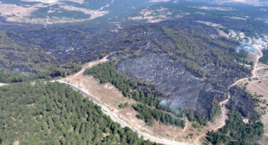 Karabük'teki orman yangını nedeniyle 4 mahalle ve 1 köy tedbiren boşaltıldı (Foto Galeri)