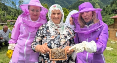 Karadeniz’in o kentinde arıcılığı doğa turizmiyle birleştiren ‘apiturizm’ faaliyetleri başladı (Foto Galeri)