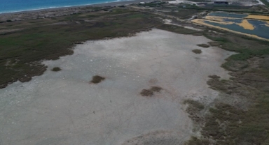Kuraklığın etkisiyle çöle dönen Milleyha’da kuş gözlemcileri gelecekten ümitli (Foto Galeri)